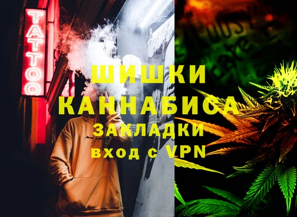 ГАЛЛЮЦИНОГЕННЫЕ ГРИБЫ Лабытнанги