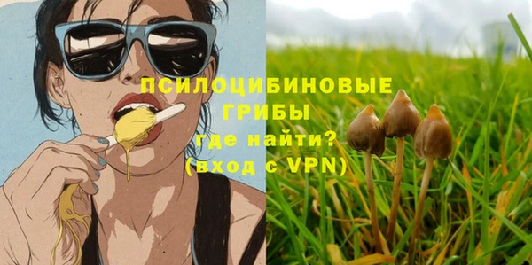 гидропоника Лагань