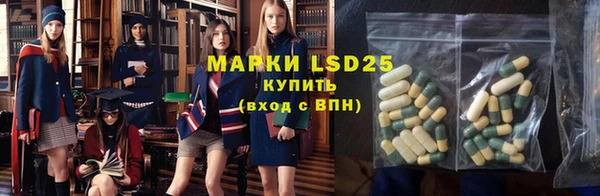 ПСИЛОЦИБИНОВЫЕ ГРИБЫ Кукмор