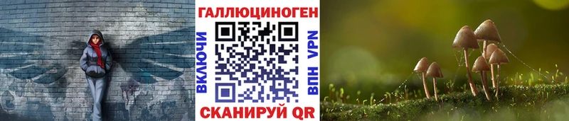 Псилоцибиновые грибы Psilocybine cubensis  Ахтырский 